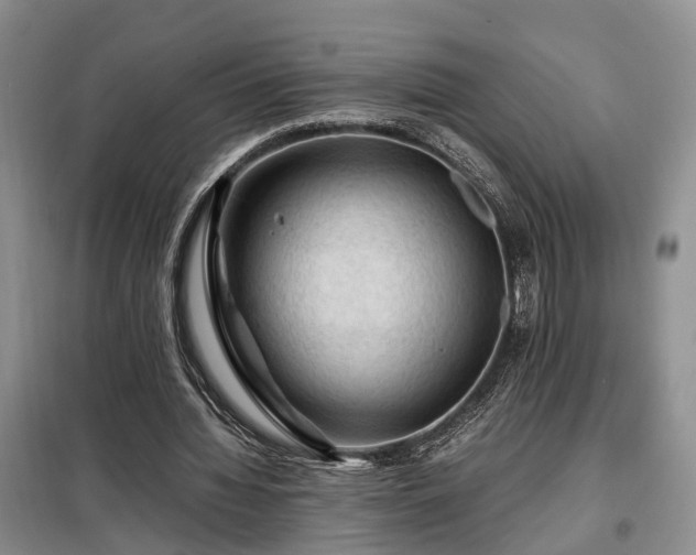 X0000099290436200805090934