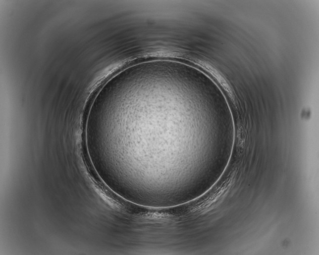 X0000099290437200805090934