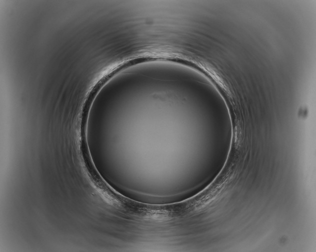 X0000099290438200805090934