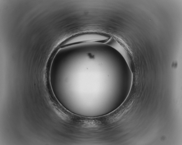 X0000099290439200805090934