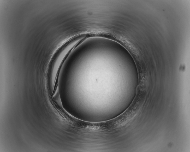 X0000099290440200805090934