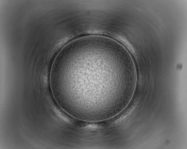 X0000099290441200805090934