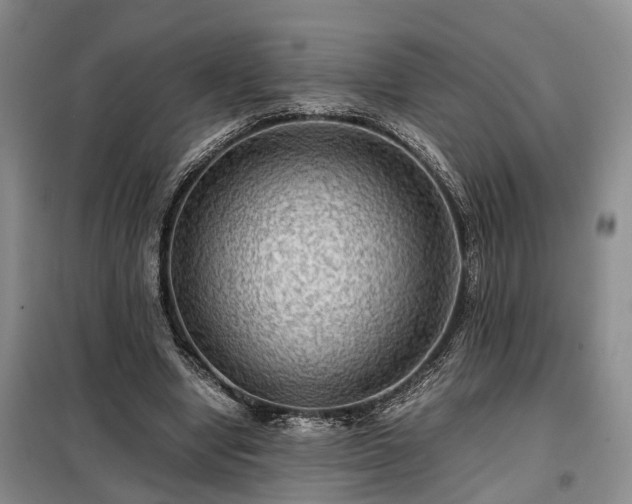 X0000099290442200805090934