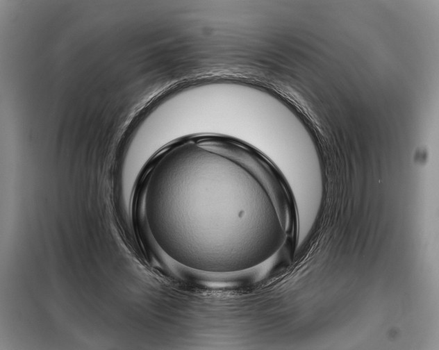X0000099290444200805090934