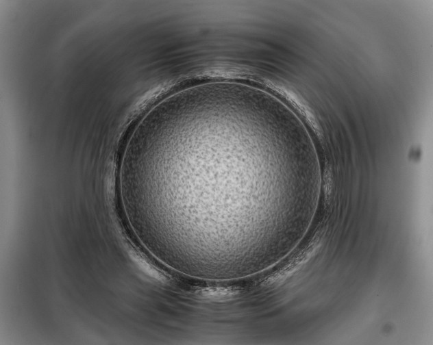 X0000099290445200805090934