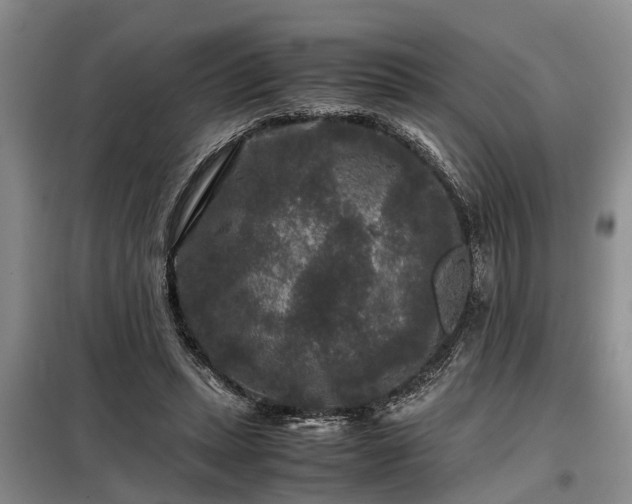 X0000099290447200805090934