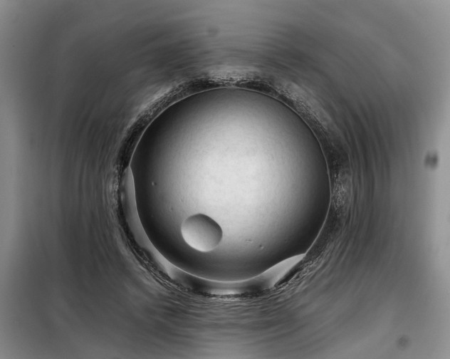 X0000099290448200805090934
