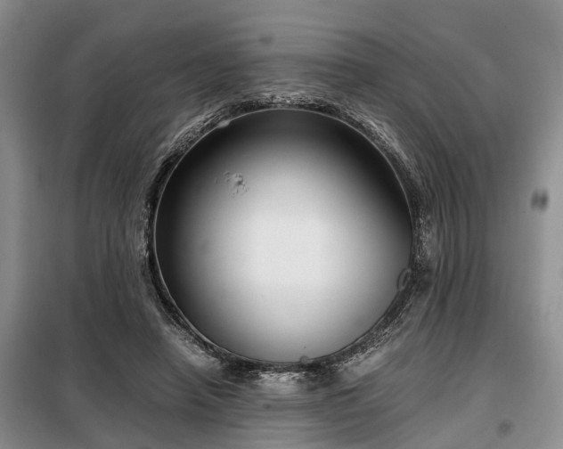 X0000099290450200805090934