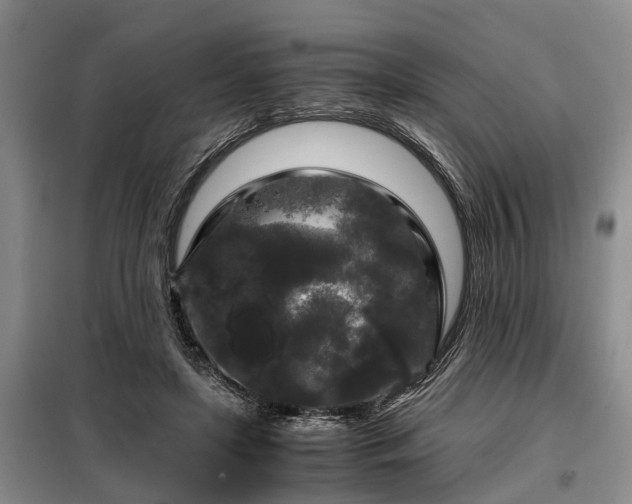 X0000099290451200805090934