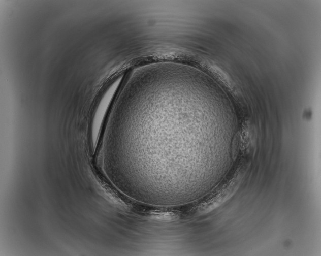 X0000099290454200805090934
