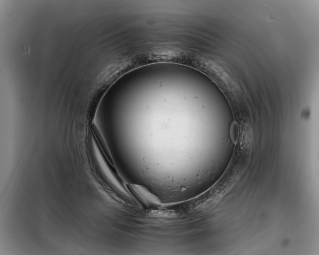 X0000099290455200805090934