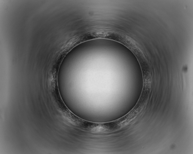 X0000099290460200805090935