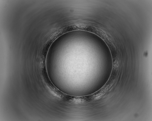 X0000099290464200805090935