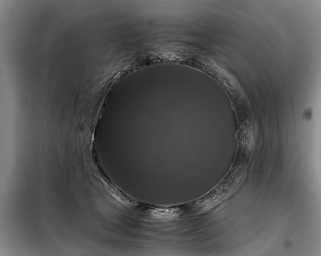 X0000099290465200805090935