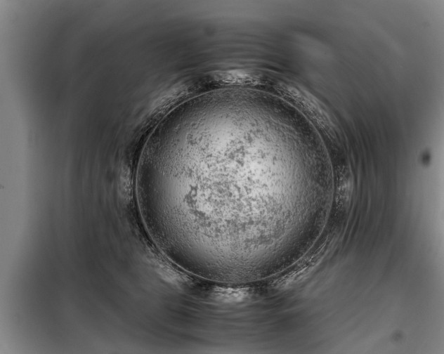 X0000099290469200805090935
