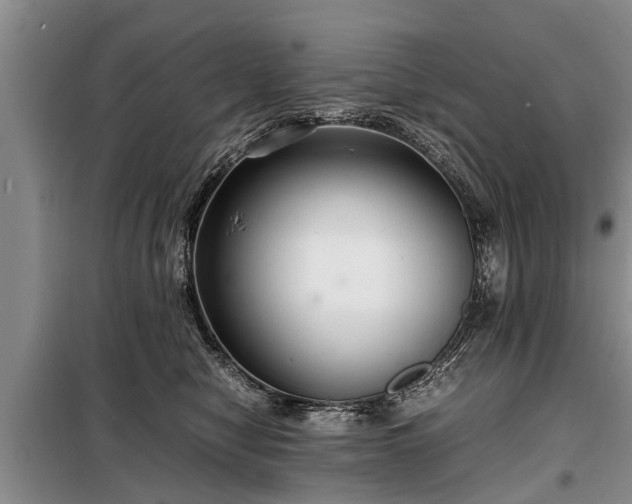 X0000099290470200805090935