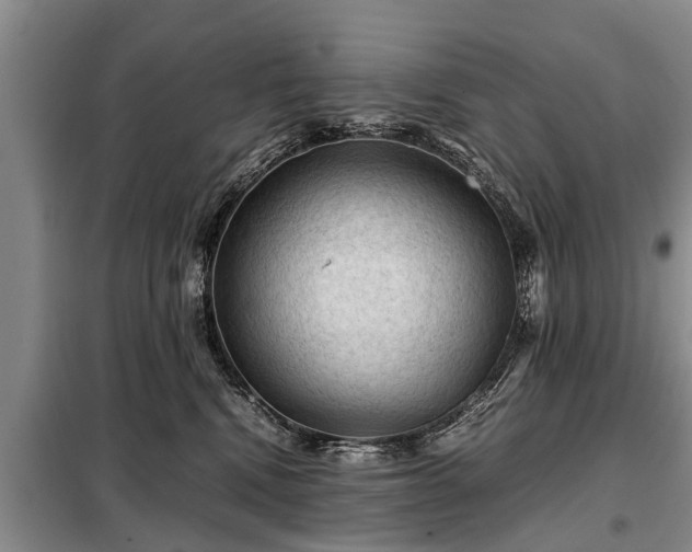 X0000099290472200805090935