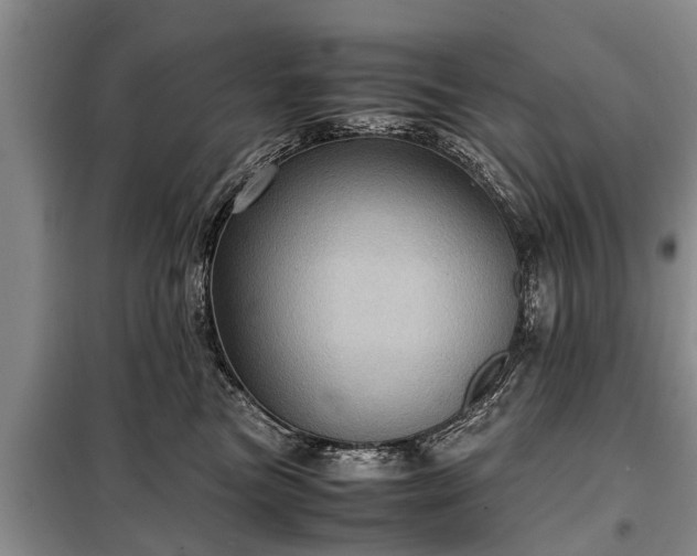 X0000099290473200805090935