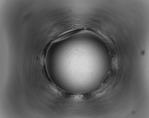 X0000099290474200805090935