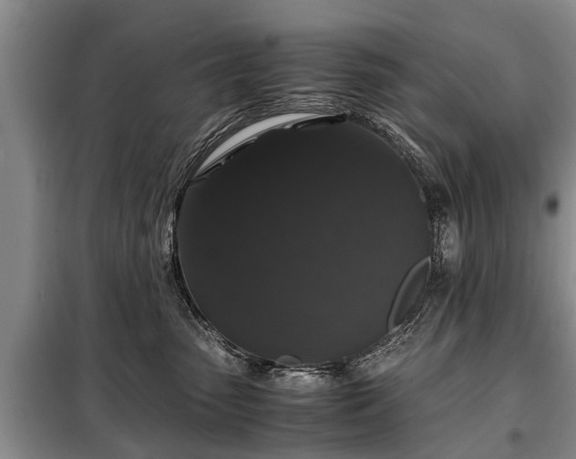 X0000099290475200805090935