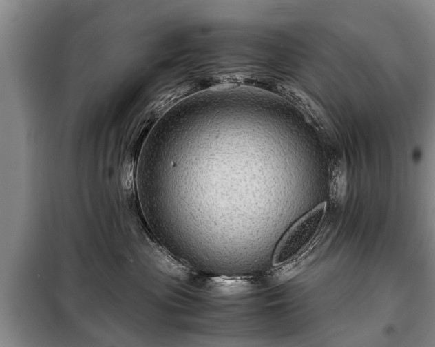 X0000099290477200805090935