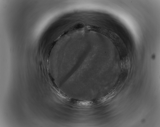 X0000099290479200805090935