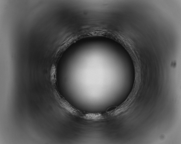 X0000099290480200805090935