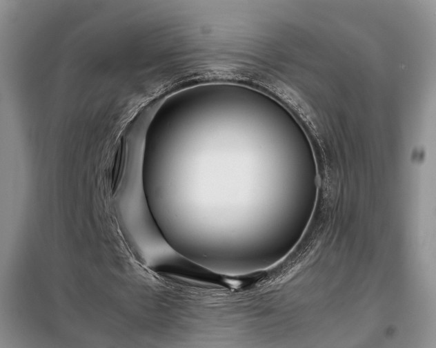 X0000099290481200805090934