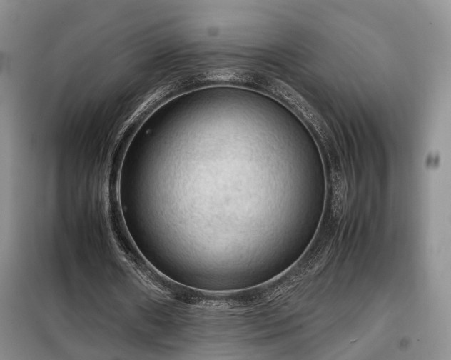 X0000099290482200805090934