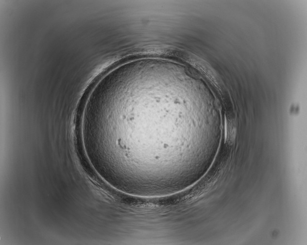 X0000099290483200805090934