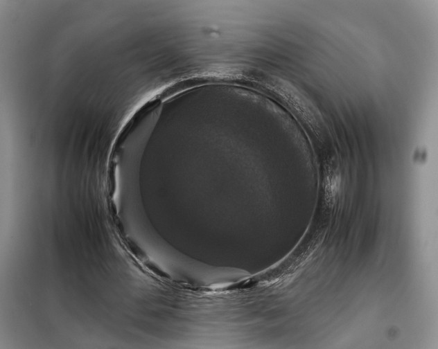 X0000099290484200805090934
