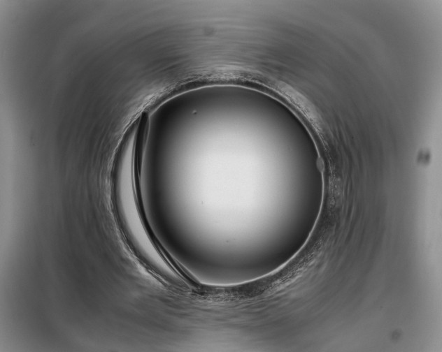 X0000099290485200805090934