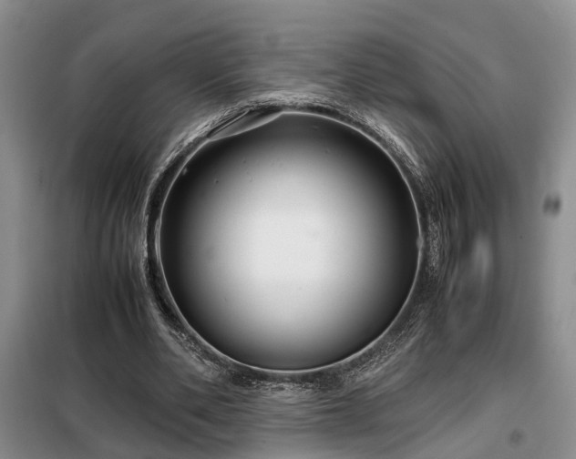 X0000099290486200805090934