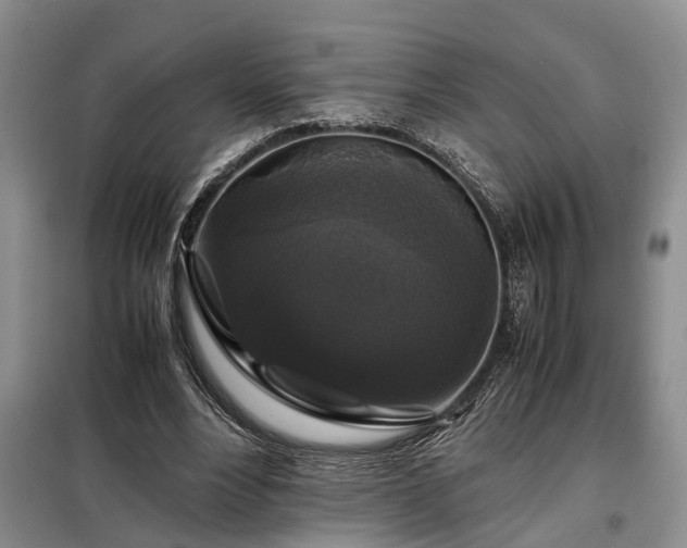 X0000099290488200805090934
