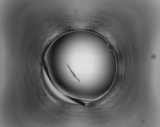 X0000099290489200805090934