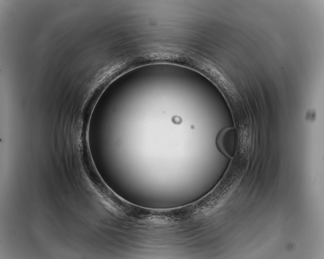 X0000099290490200805090934