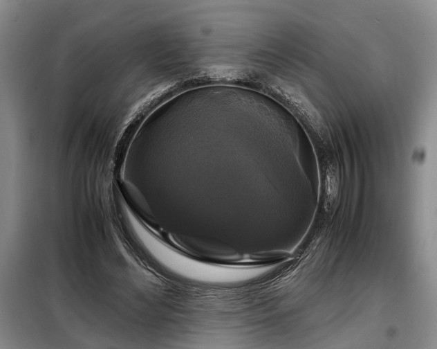 X0000099290492200805090934