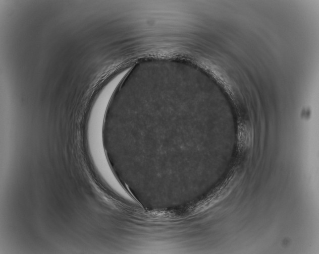 X0000099290493200805090934
