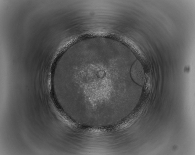 X0000099290494200805090934