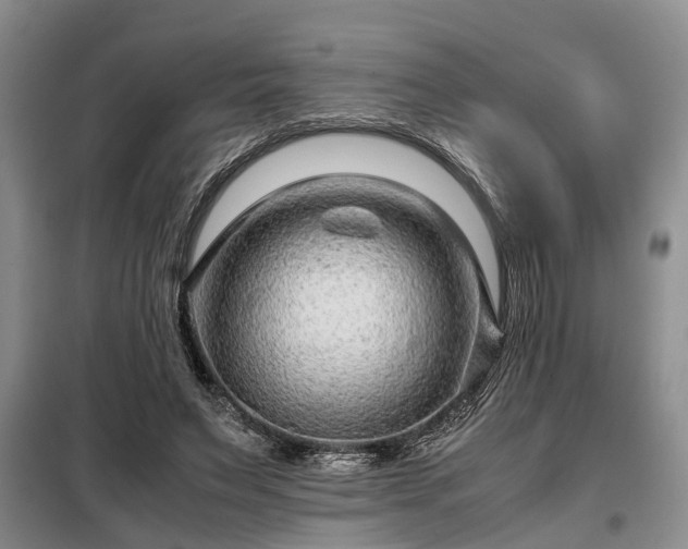 X0000099290495200805090934