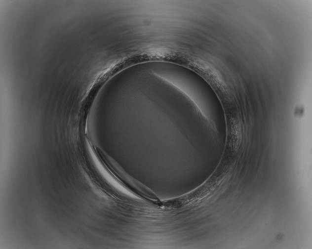 X0000099290496200805090934