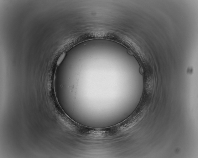 X0000099290497200805090934