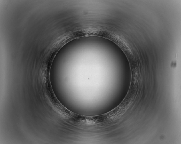 X0000099290498200805090934