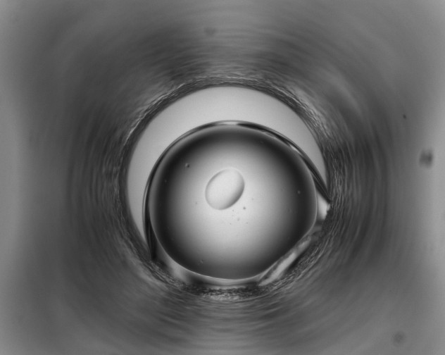 X0000099290500200805090934