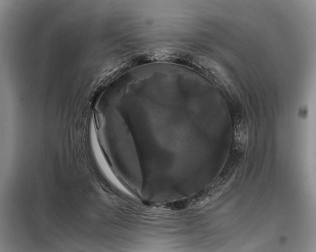 X0000099290503200805090934