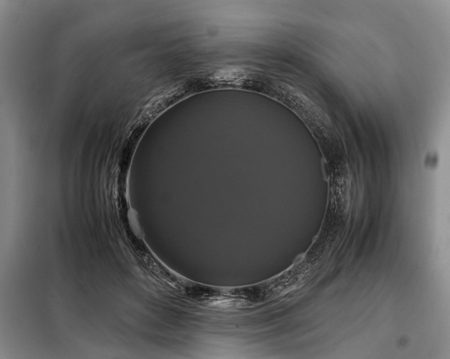 X0000099290504200805090934