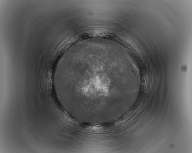 X0000099290506200805090934