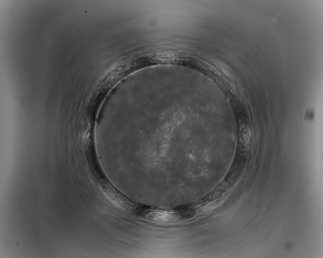 X0000099290507200805090934