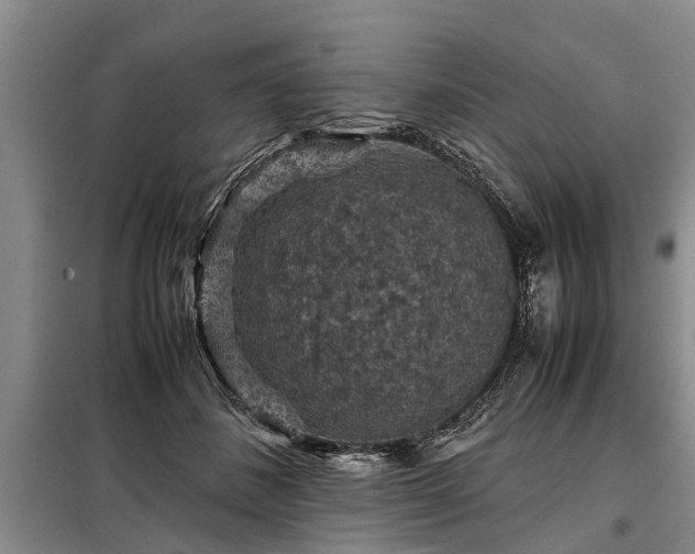 X0000099290508200805090934