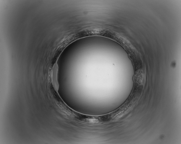 X0000099290509200805090934